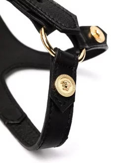 Versace Harnais Pour Animaux Medusa à Détails De Clous Femme -Pas Cher Versace Boutique 17780443 37322781 600